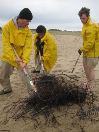 Cape Pogue beach clean up 3
