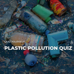 Plastic Quiz
