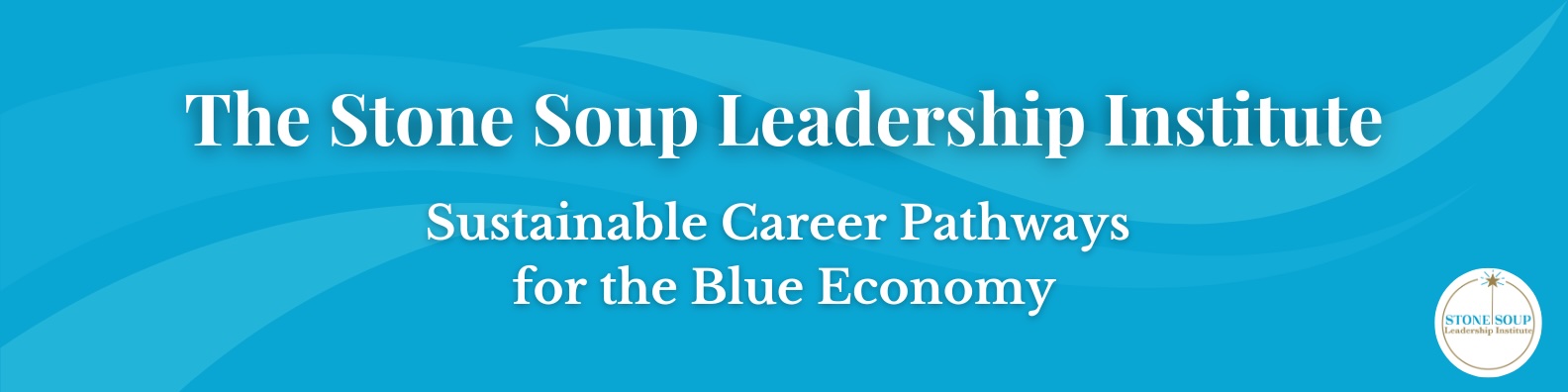 Stone Soup Leadership Institute